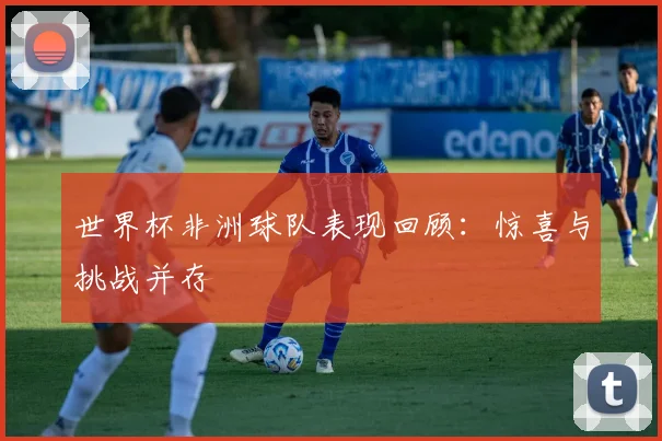 世界杯非洲球队表现回顾：惊喜与挑战并存