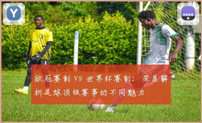 欧冠赛制 vs 世界杯赛制：深度解析足球顶级赛事的不同魅力