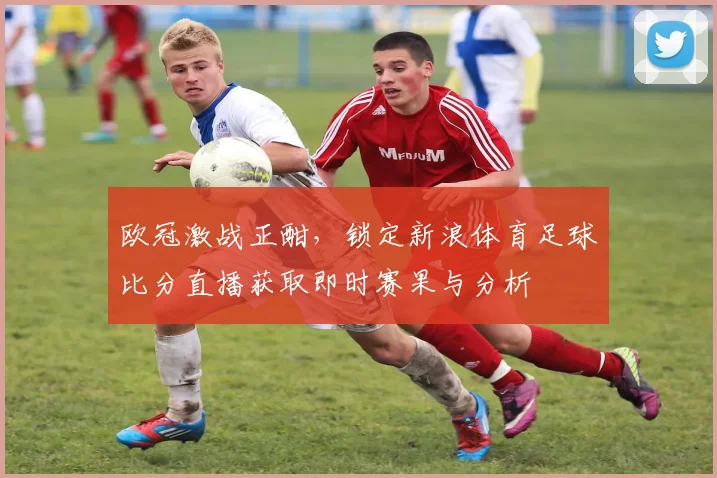 欧冠激战正酣，锁定新浪体育足球比分直播获取即时赛果与分析