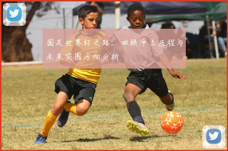 国足世界杯之路：回顾冲击历程与未来突围方向分析