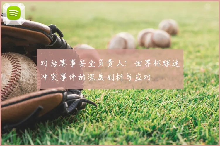 对话赛事安全负责人:世界杯球迷冲突事件的深度剖析与应对