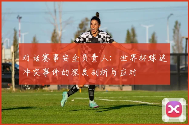 对话赛事安全负责人:世界杯球迷冲突事件的深度剖析与应对