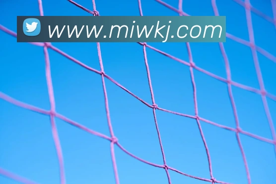 欧宝官方首页官网服务体系